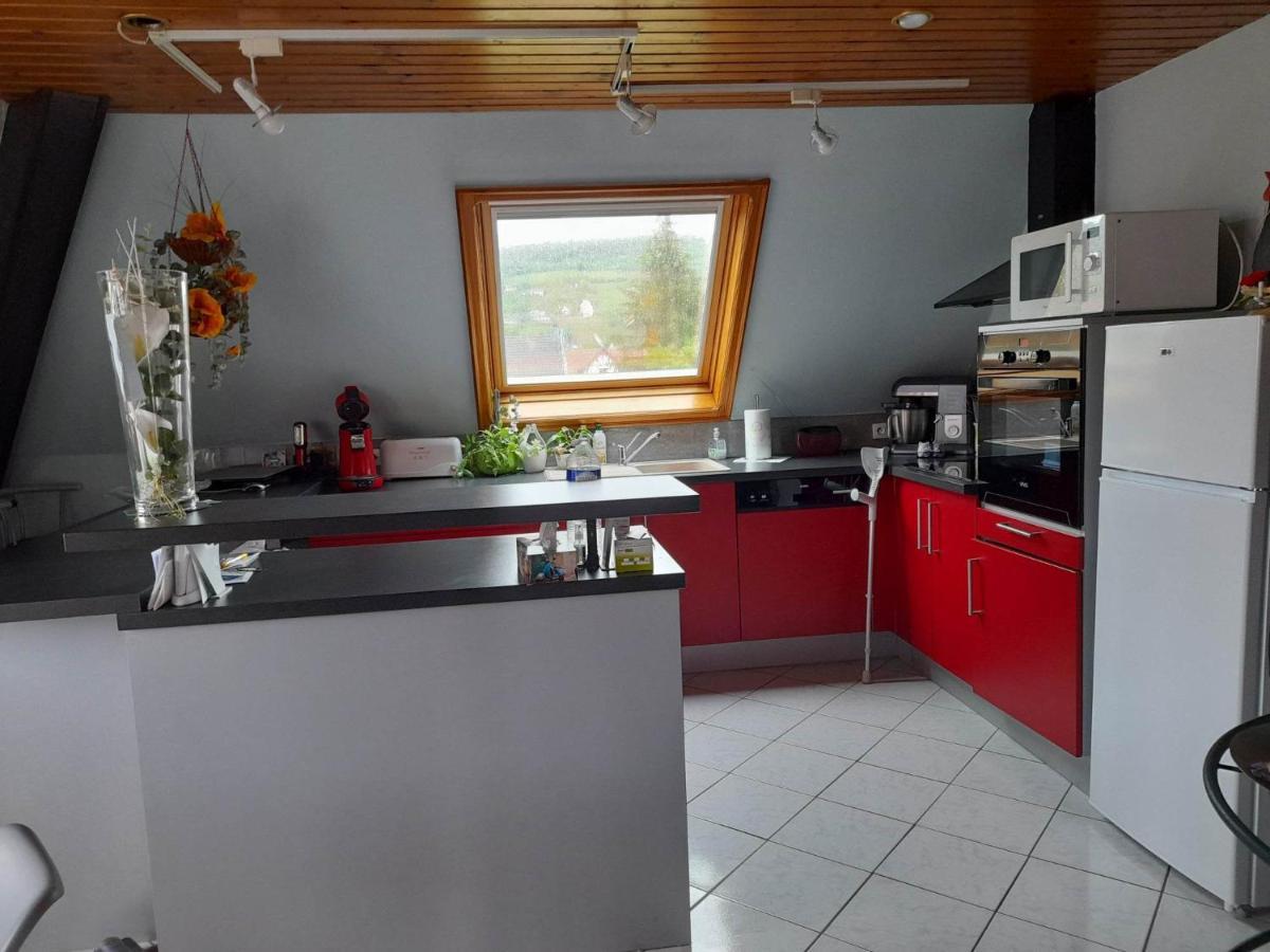 מוציג Gite Le Jardin De Hermolsheim. Alsace Tres Spacieux מראה חיצוני תמונה