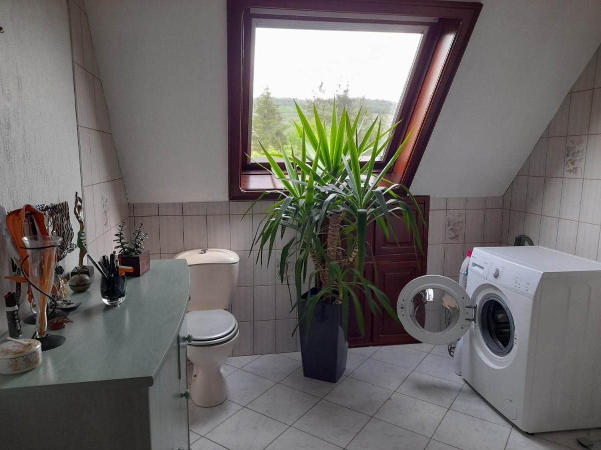 מוציג Gite Le Jardin De Hermolsheim. Alsace Tres Spacieux מראה חיצוני תמונה