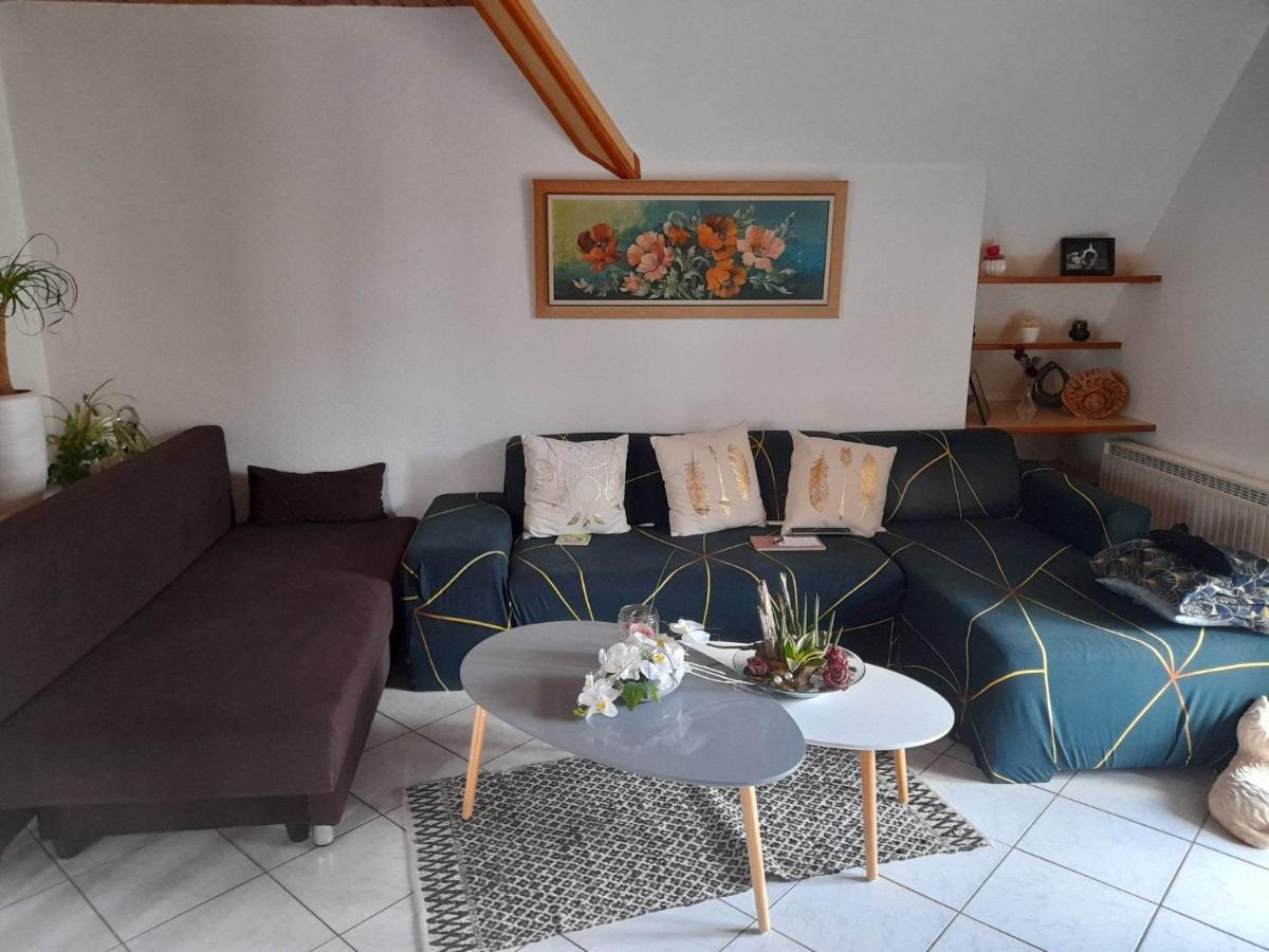 מוציג Gite Le Jardin De Hermolsheim. Alsace Tres Spacieux מראה חיצוני תמונה